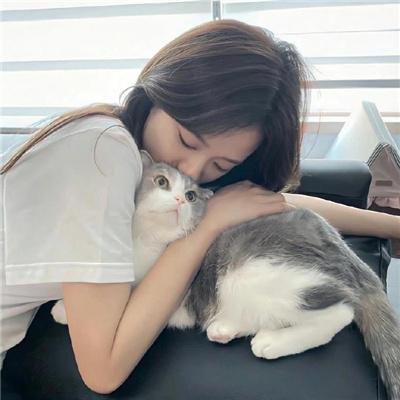 亲爱的乘客,你好第二季